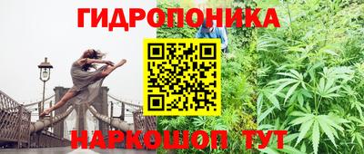 дживик Мариинск